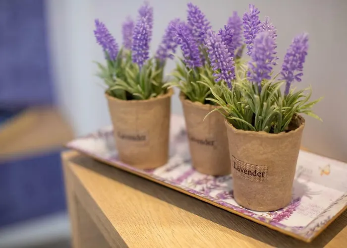 公寓式酒店 Akalli 4*