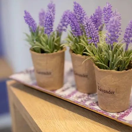 Apartahotel Akalli 4*