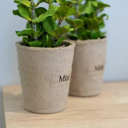 Akalli 4* Ixia (Rhodes)