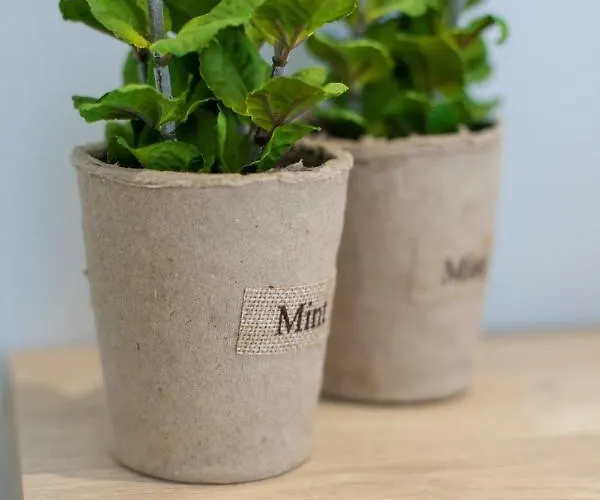 Akalli 4* Ixia (Rhodes)